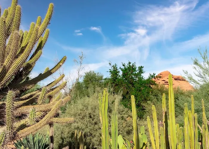Encanto - 1 Mile To Asu Downtown, Hot Tub, Dogs Ok Holiday home *